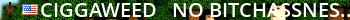 ciggaweed - no bitchassness Live Banner 2