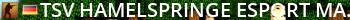 TSV Hamelspringe eSport Matchserver #1 Live Banner 2