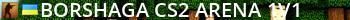 Borshaga CS2 ARENA 1v1 Live Banner 2