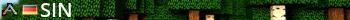 SIN Live Banner 2