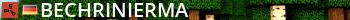 BeChriNiErMa Live Banner 2