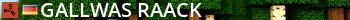 Gallwas & Raack Live Banner 2