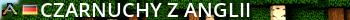 Czarnuchy z Anglii Live Banner 2