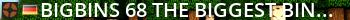 BIGBINS 68 [The Biggest Bins In Town] Live Banner 2