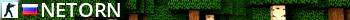   NETORN Live Banner 2