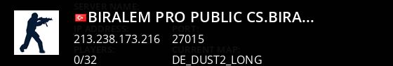  BIRALEM ~ PRO PUBLIC  cs.biralem.net  Live Banner 1