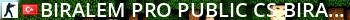  BIRALEM ~ PRO PUBLIC  cs.biralem.net  Live Banner 2