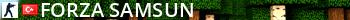 Forza SAMSUN Live Banner 2