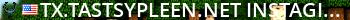 tx.tastsypleen.net::InstaGibTDM Live Banner 2