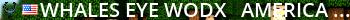 Whales Eye WODX - AMERICA FIRST! Live Banner 2