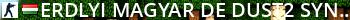 Erdlyi Magyar de dust2 | SynHosting.eu Live Banner 2