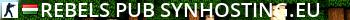 REBELS [PUB] | SynHosting.eu Live Banner 2