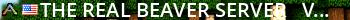 The Real Beaver Server - (v346.11) Live Banner 2