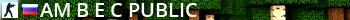 [AM] Грамотный Public Live Banner 2