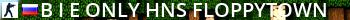 © Мозги рунета # Only hns_Floppytown Live Banner 2