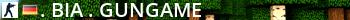 .:BIA:. GunGame Live Banner 2