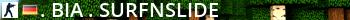 .:BIA:. SurfnSlide Live Banner 2