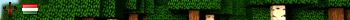Sufni Defrag Live Banner 2