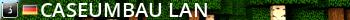 Caseumbau-LAN Live Banner 2