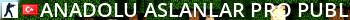 Anadolu Aslanlar Pro Public Live Banner 2